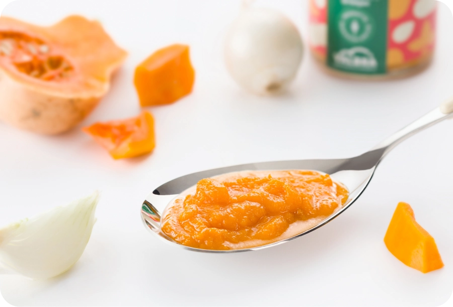 crema di zucca con cipolla